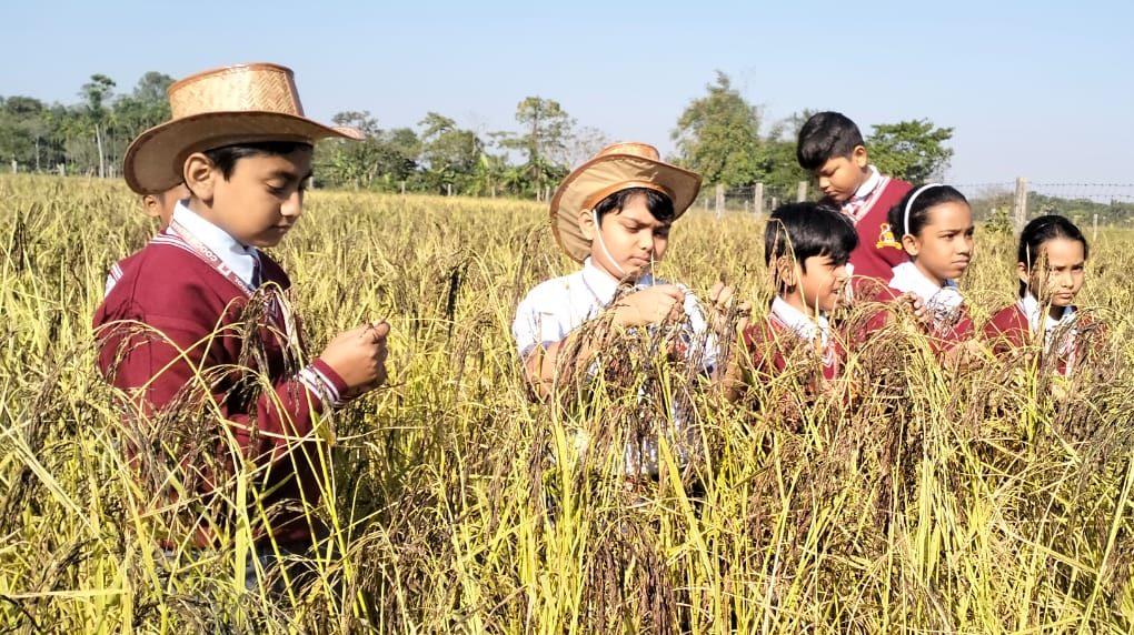 Epic Public School Page Image